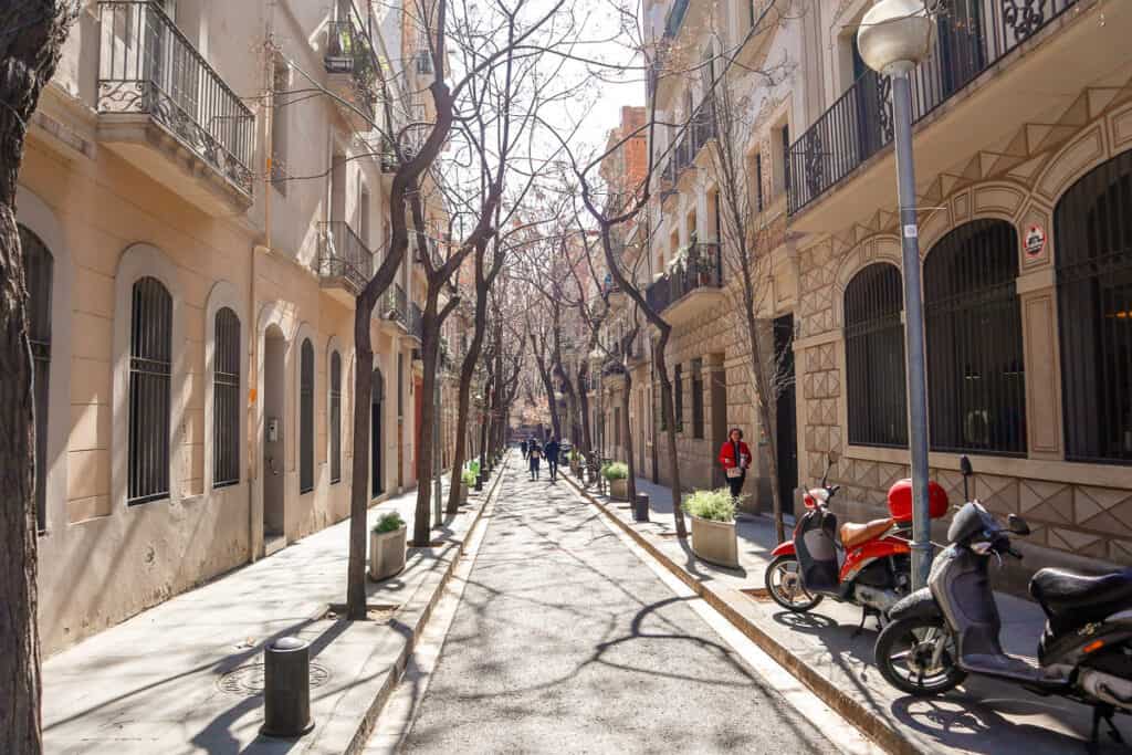 A tranquil Barcelona street lined with leafless trees and classic architecture, creating a peaceful urban scene with parked motorcycles and a walking pedestrian