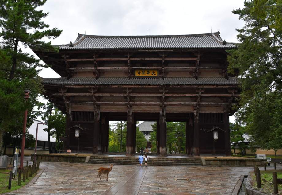 Visiting Tōdai-ji