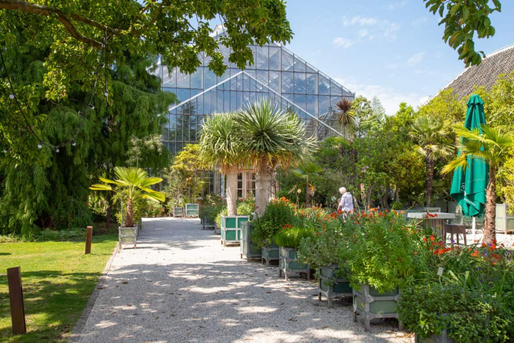 Lush greenery in the Hortus Botanicus of Amsterdam, with a variety of plants and a large greenhouse in the background