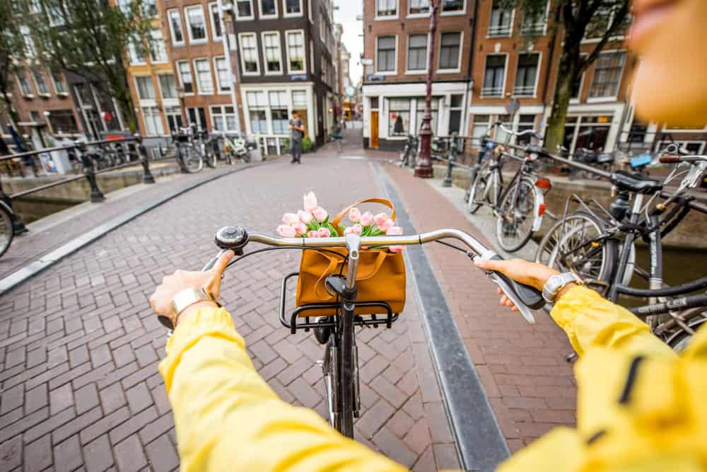Point of view shot of a person cycling through Amsterdam's cobbled streets with a bouquet of tulips in the bike's front basket.