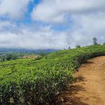 Sri Lanka sets up company to manage Pekoe Trail